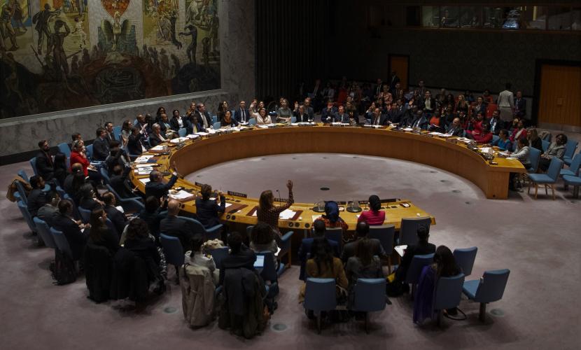 Security Council Resolutions 