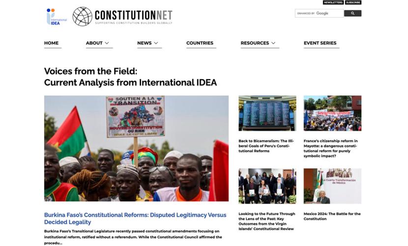 Screenshot of Constitutionnet