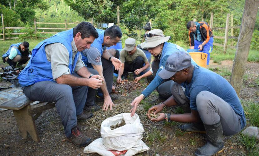 UN Verification Mission in Colombia